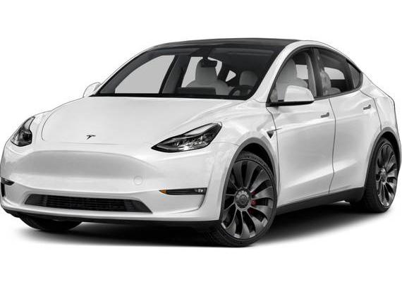 TESLA MODEL Y 2021 5YJYGDEE1MF071127 image